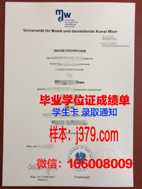 维也纳造型艺术学院diploma证书(维也纳艺术学院)