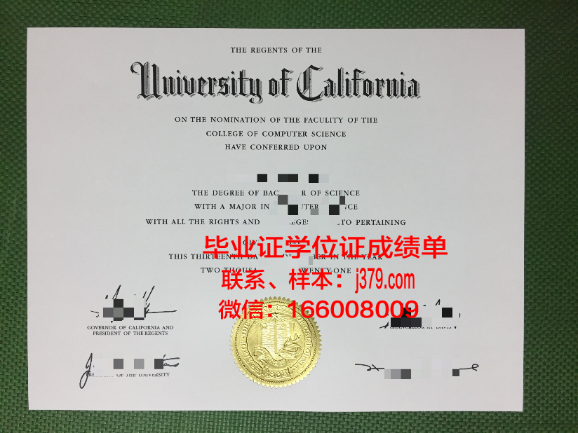 雅西国立艺术大学毕业证成绩单:一份承载荣誉与梦想的证明