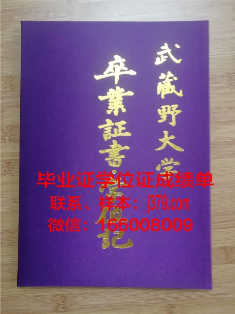 雷恩第一大学毕业证壳子(第一份毕业证书)