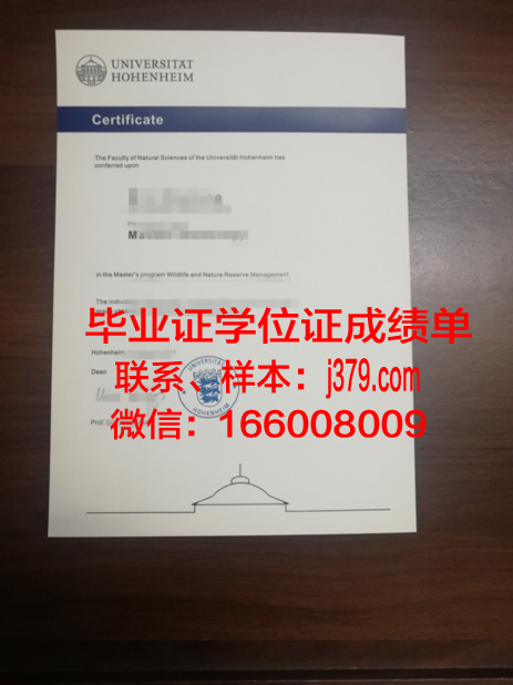 霍恩海姆大学证书成绩单(霍恩海姆壁纸)