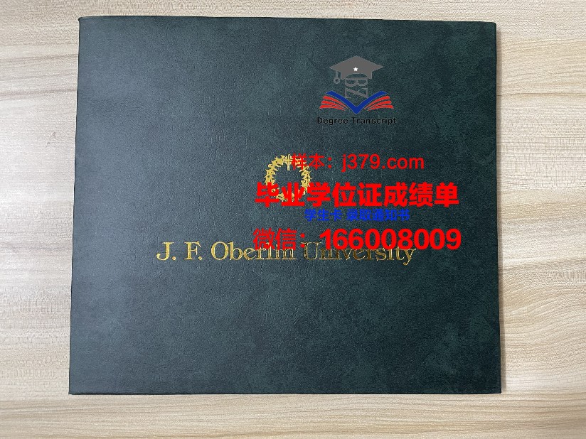 雷根斯堡大学毕业证书模板(雷根斯堡应用技术大学)