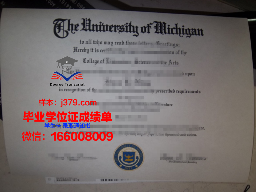 雷根斯堡大学本科毕业证:跨越学术成就的里程碑