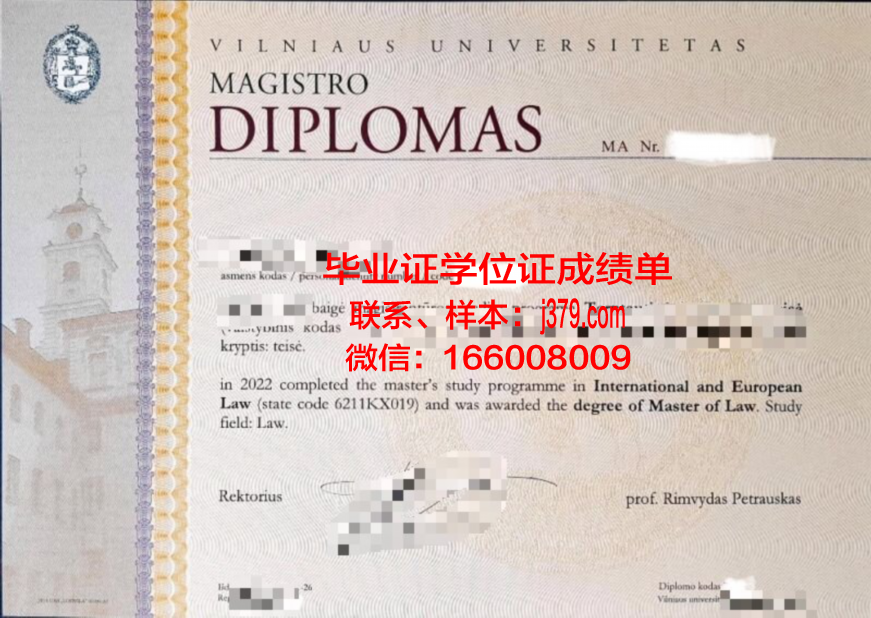 维尔纽斯艺术学院毕业证等级(维尔扭斯大学)