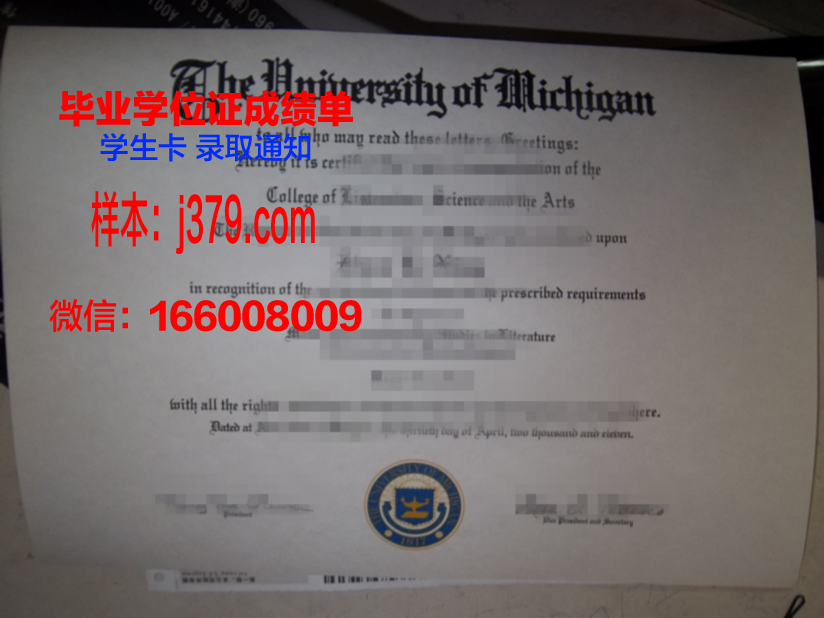 阿道夫大博士毕业证:一段历史的反思与启示
