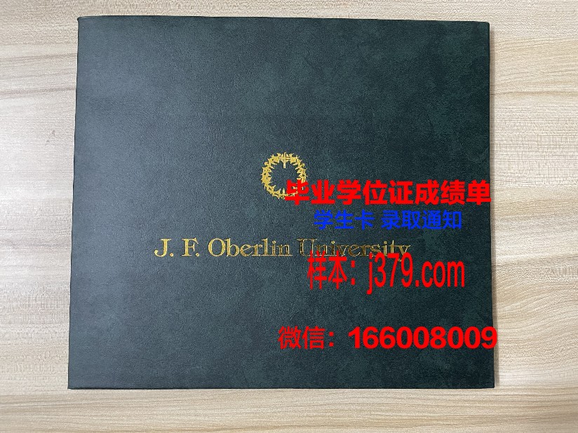雷根斯堡大学毕业证书(雷根斯堡大学怎么样)