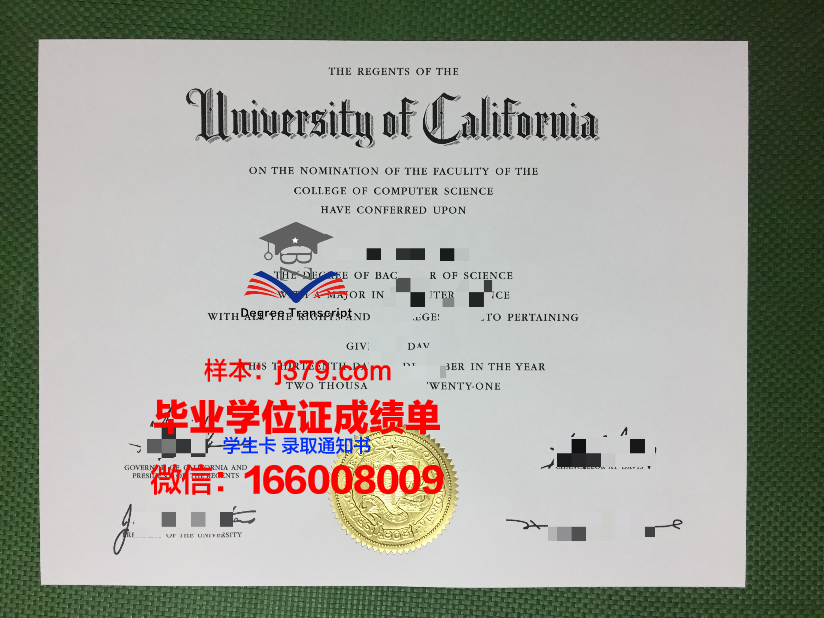 维泰博大学毕业证丢失怎么补办
