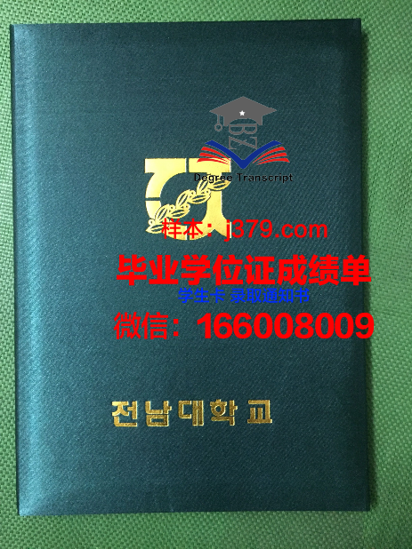 雷恩第一大学毕业证壳子(第一份毕业证书)