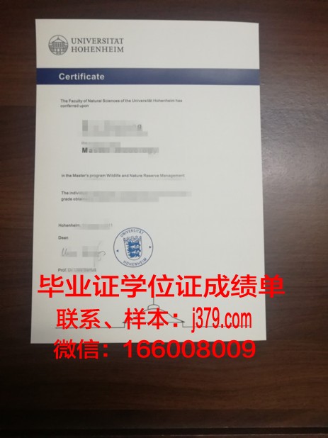 霍恩海姆大学毕业证样式(霍恩海姆壁纸)