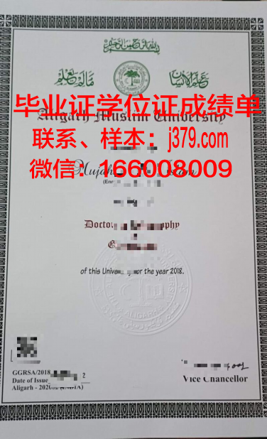 阿里格尔穆斯林大学毕业证图片