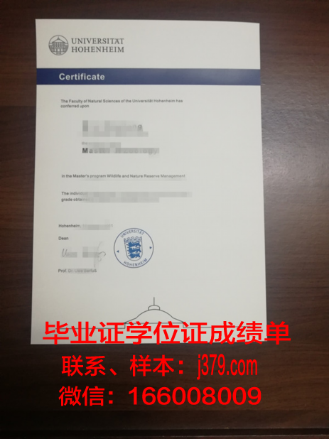 霍恩海姆大学毕业证样式(霍恩海姆壁纸)