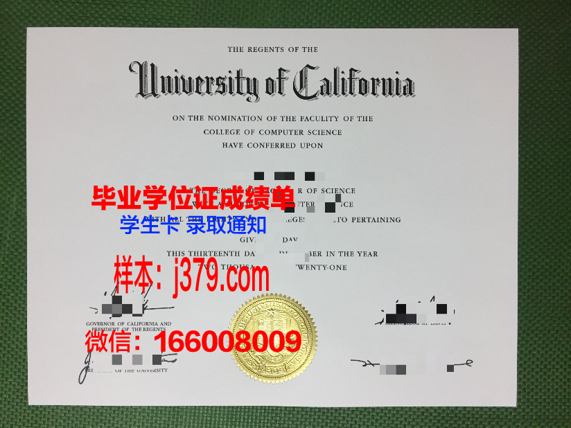维大工毕业证定制:传承与创新的艺术结晶