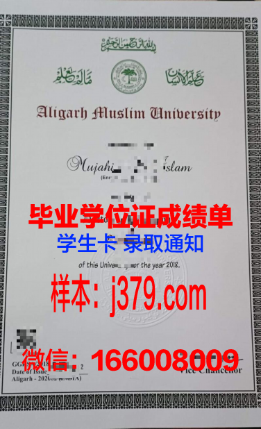 阿里格尔穆斯林大学毕业证成绩单:承载知识与荣誉的证书