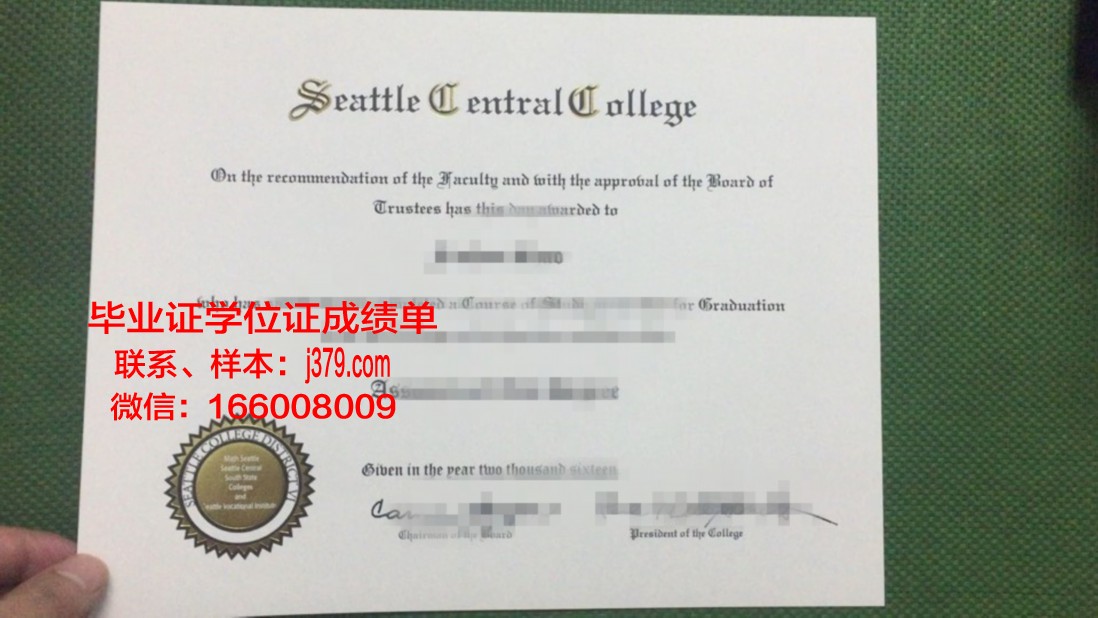 雅西国立艺术大学diploma证书(西雅图艺术学院学费)